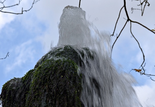 Wasserbaum Ockensen (6)